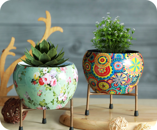 Pots & Plants
